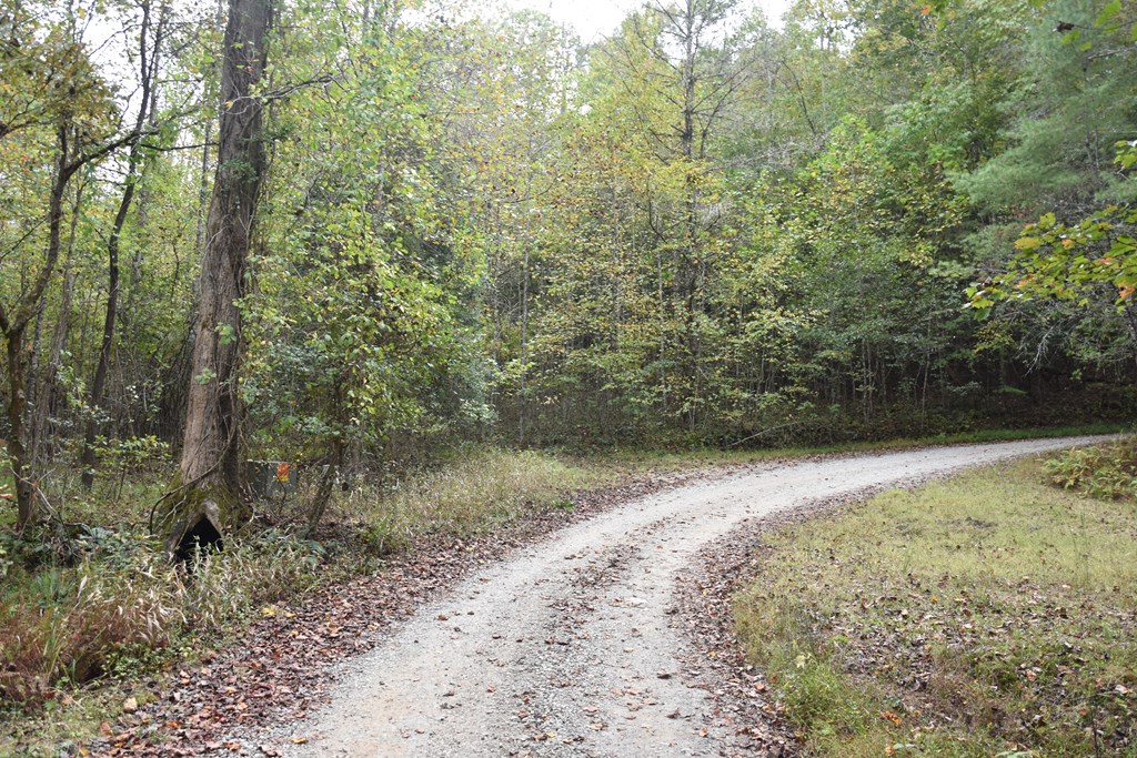361 River Cove Property Photo 14