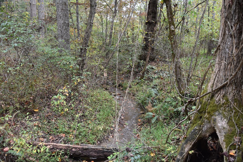 361 River Cove Property Photo 17