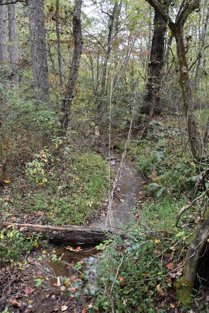 361 River Cove Property Photo 18