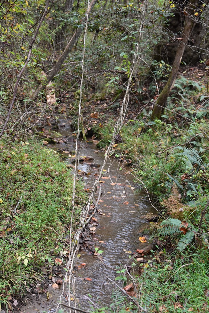 361 River Cove Property Photo 19