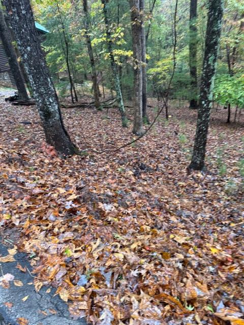 LT 264 Zenith Trail Property Photo 1
