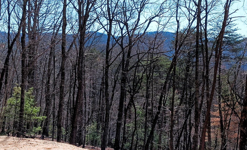 Lot 1a Colbert Mountain Road Property Photo 2