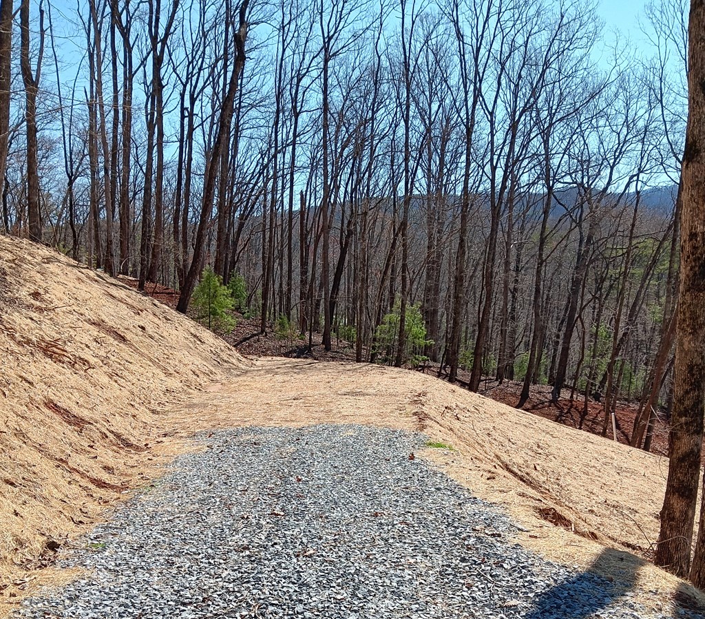 Lot 1a Colbert Mountain Road Property Photo 4