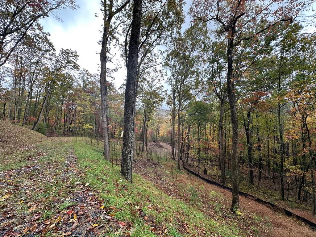 Lot 1a Colbert Mountain Road Property Photo 6
