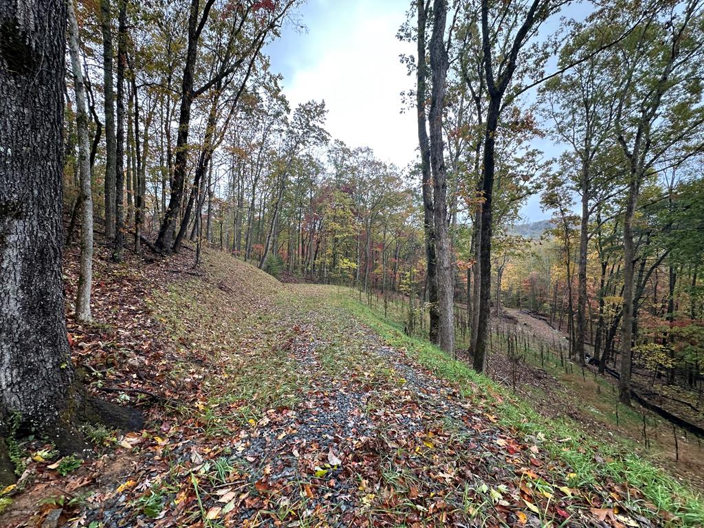 Lot 1a Colbert Mountain Road Property Photo 7