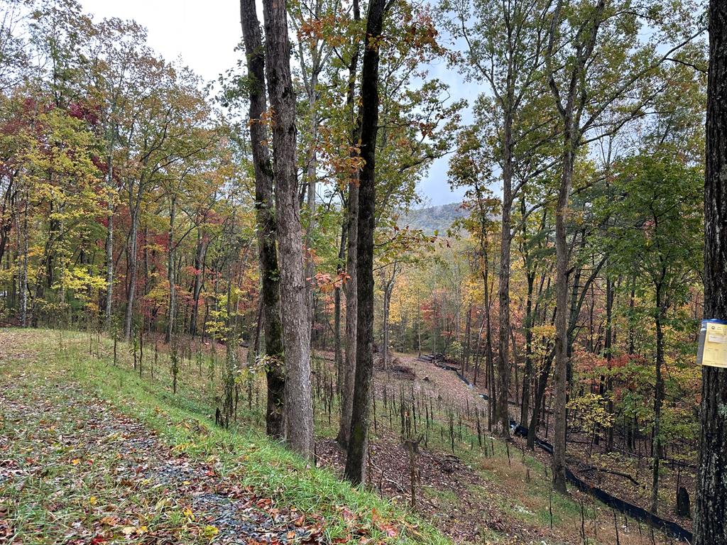 Lot 1a Colbert Mountain Road Property Photo 8