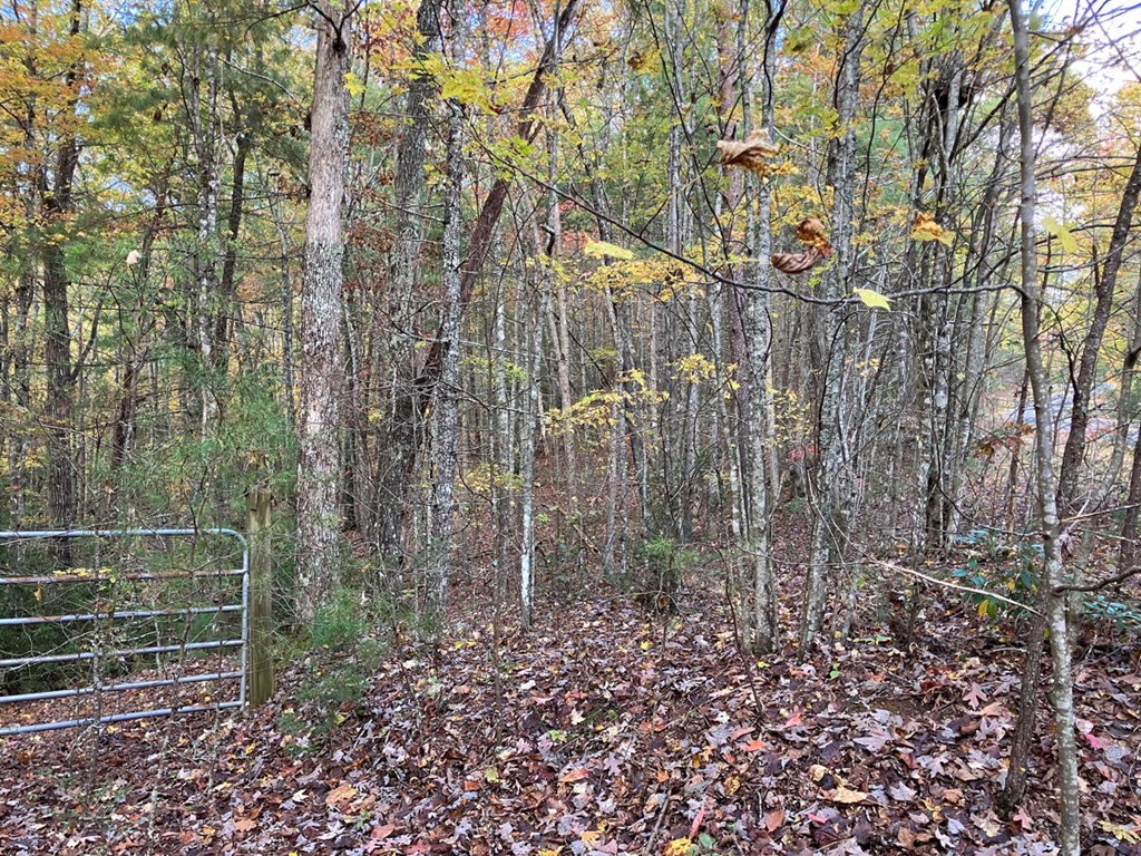 39 Acres Hedden Stiles Road Property Photo 18