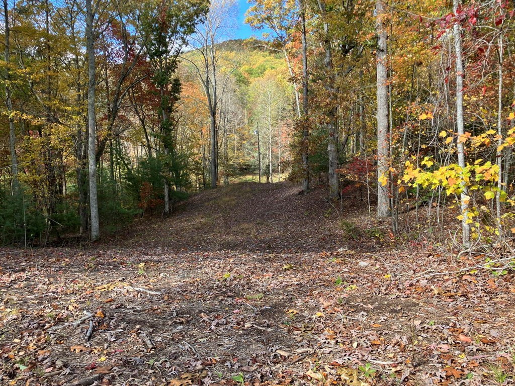 39 Acres Hedden Stiles Road Property Photo 29