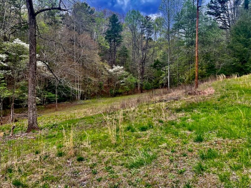 16378 Hwy 64 Property Photo 4