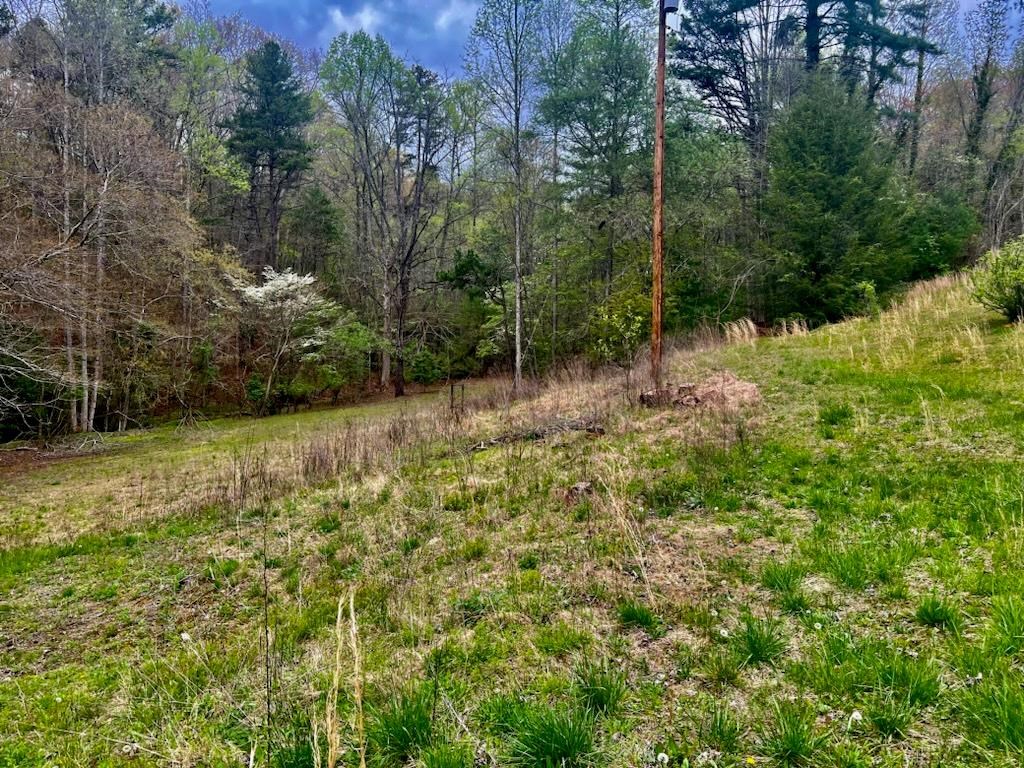 16378 Hwy 64 Property Photo 8