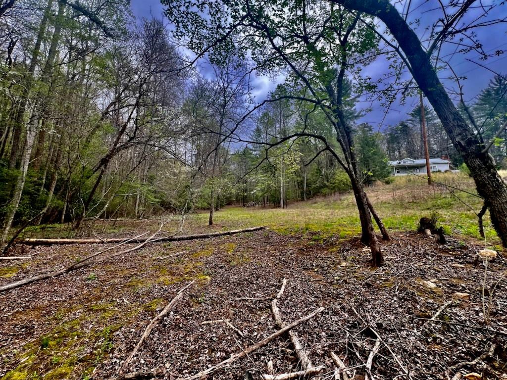 16378 Hwy 64 Property Photo 9