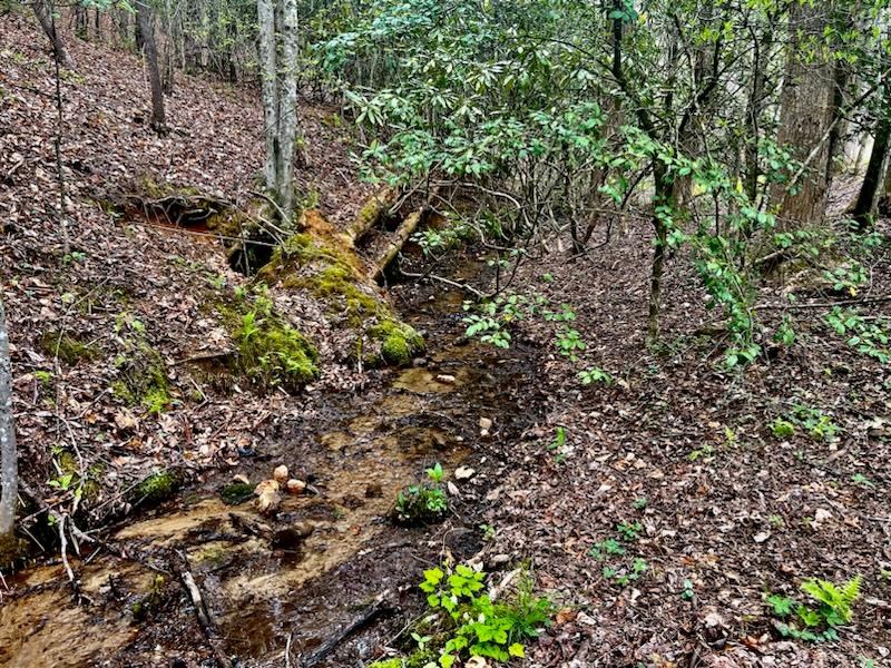 16378 Hwy 64 Property Photo 10