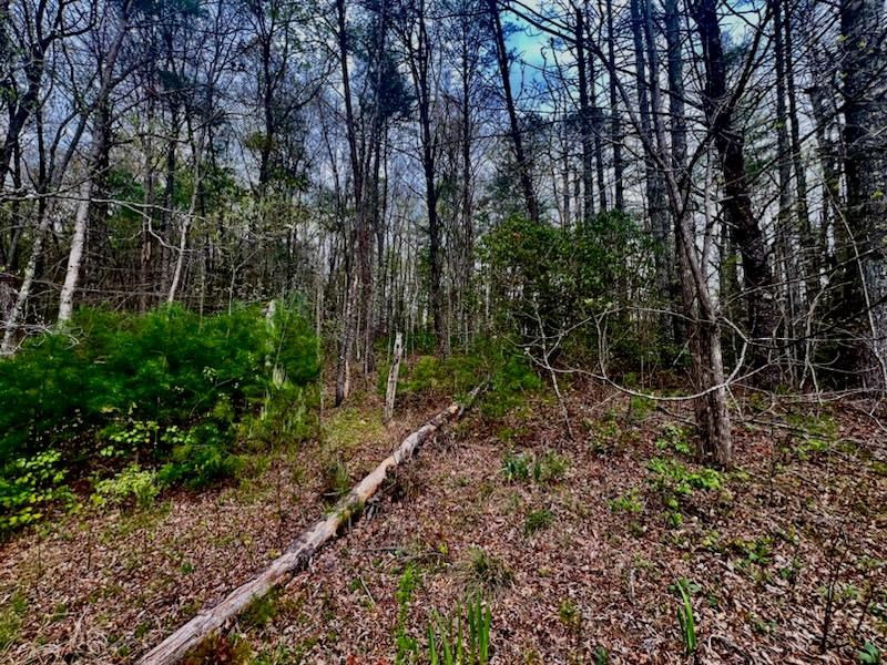 16378 Hwy 64 Property Photo 17