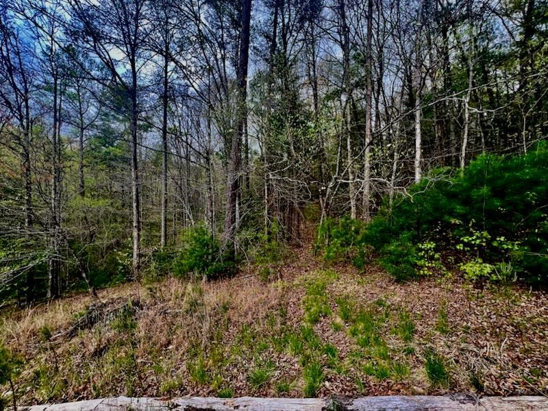 16378 Hwy 64 Property Photo 18