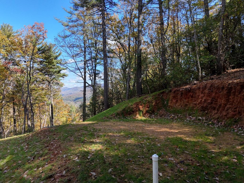 Lot 8 Cindy Cove Property Photo 6