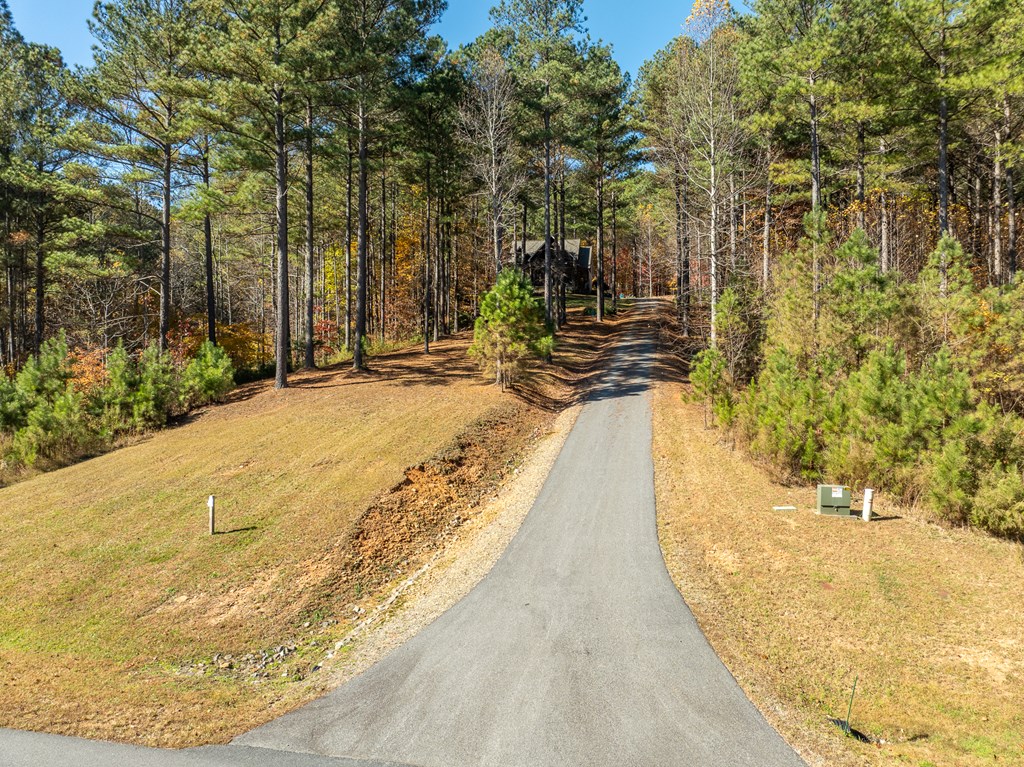 1286 Deyton Drive Property Photo 3
