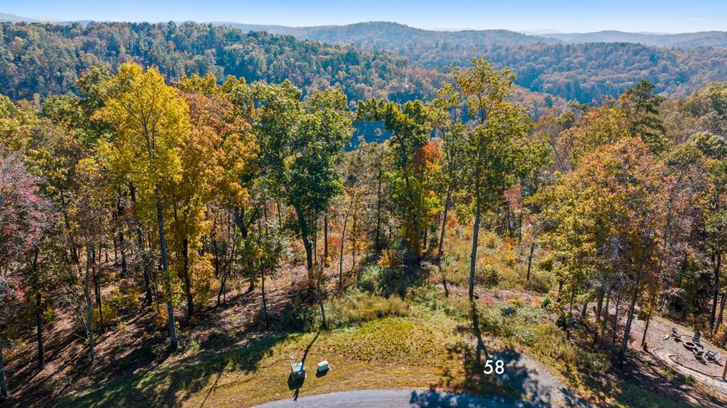 Lot 58 Ridge Line Trail Property Photo 1
