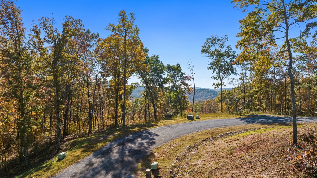 Lot 58 Ridge Line Trail Property Photo 2