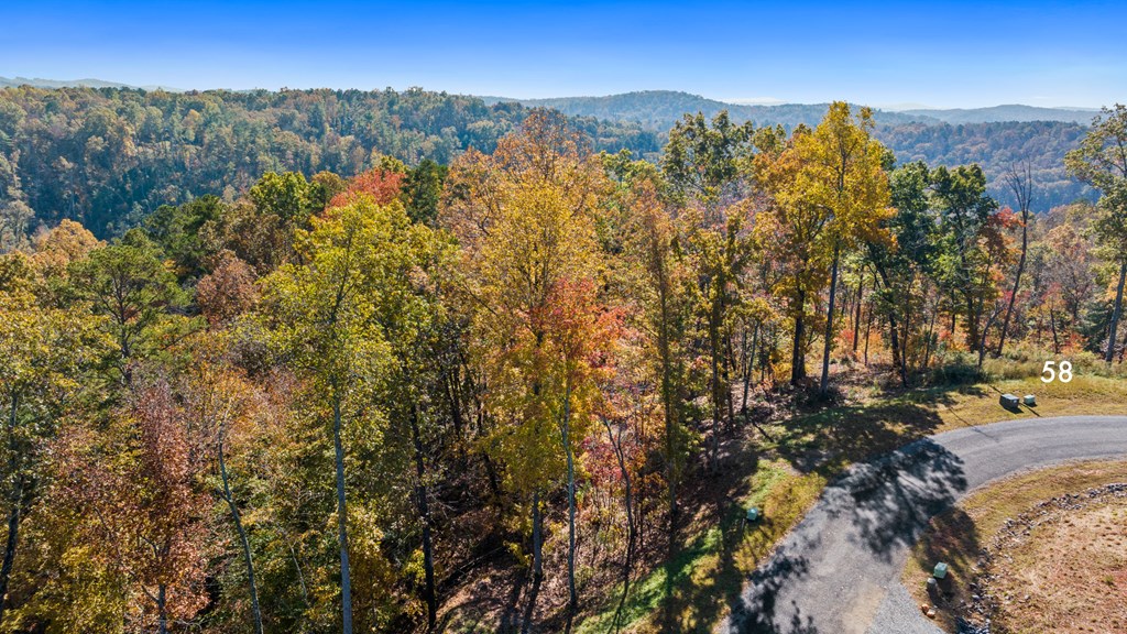 Lot 58 Ridge Line Trail Property Photo 7