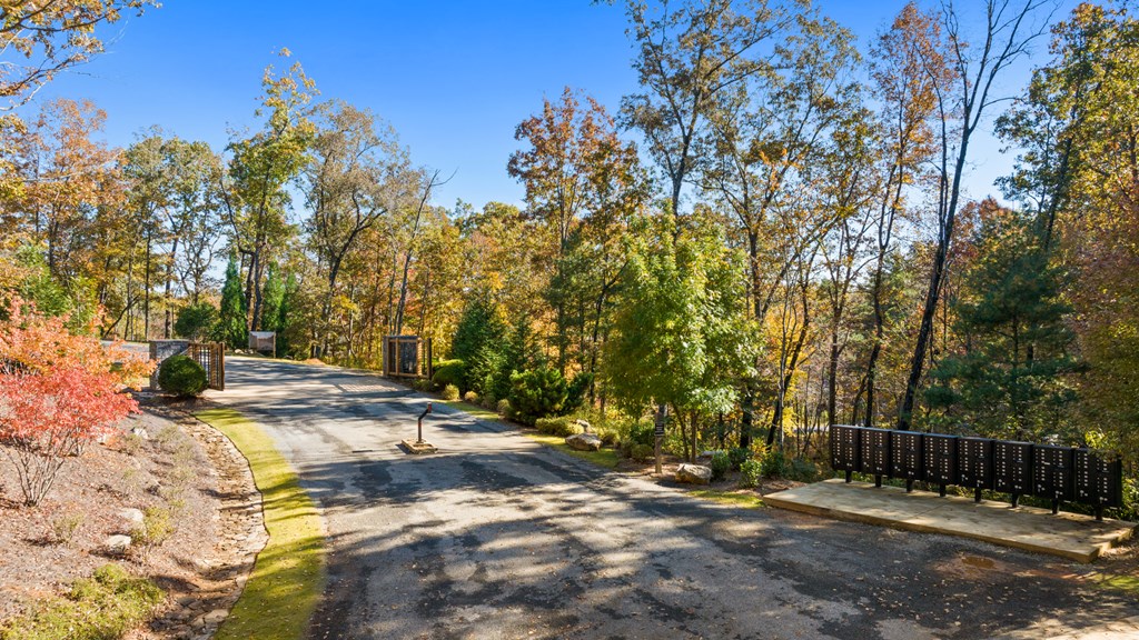Lot 58 Ridge Line Trail Property Photo 8