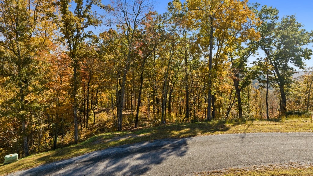 Lot 58 Ridge Line Trail Property Photo 9