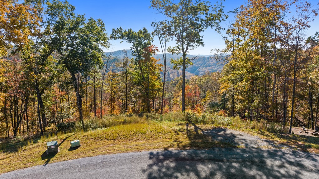 Lot 58 Ridge Line Trail Property Photo 10
