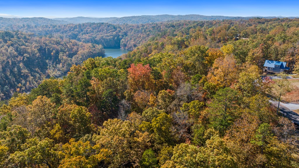 Lot 58 Ridge Line Trail Property Photo 11