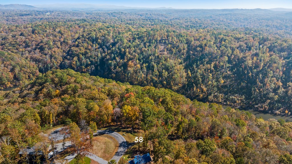 Lot 58 Ridge Line Trail Property Photo 15