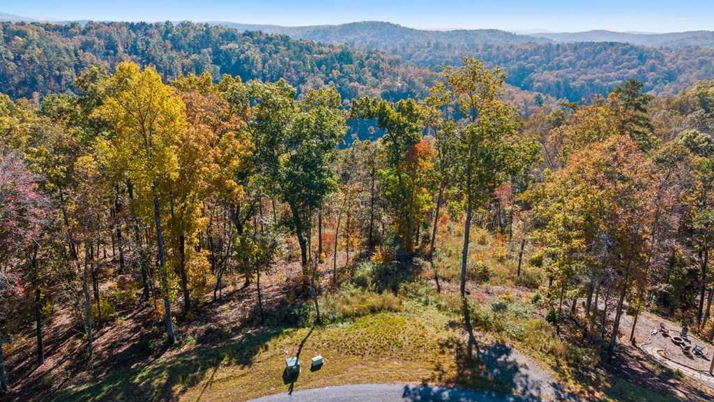 Lot 58 Ridge Line Trail Property Photo 19
