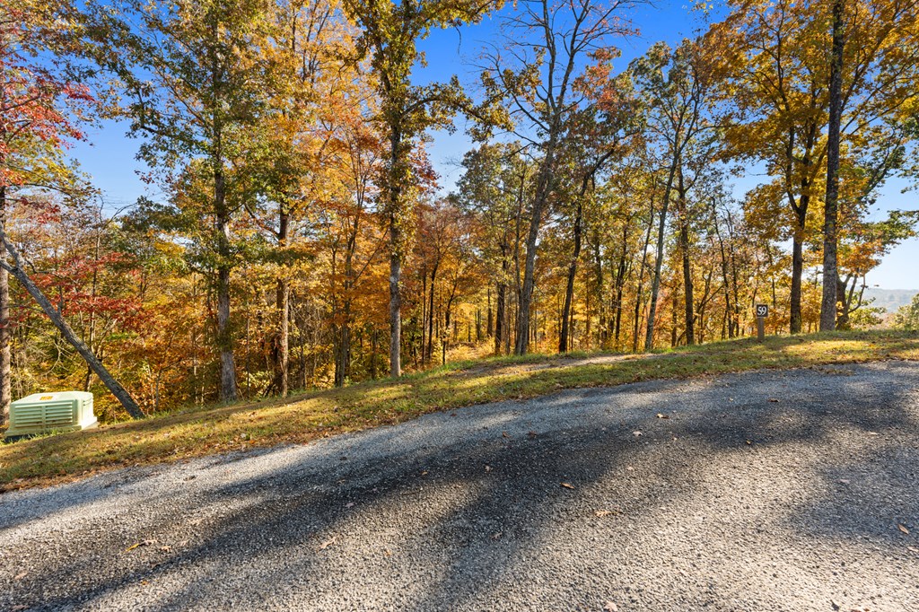 Lot 58 Ridge Line Trail Property Photo 20