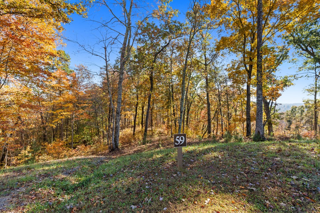 Lot 58 Ridge Line Trail Property Photo 21