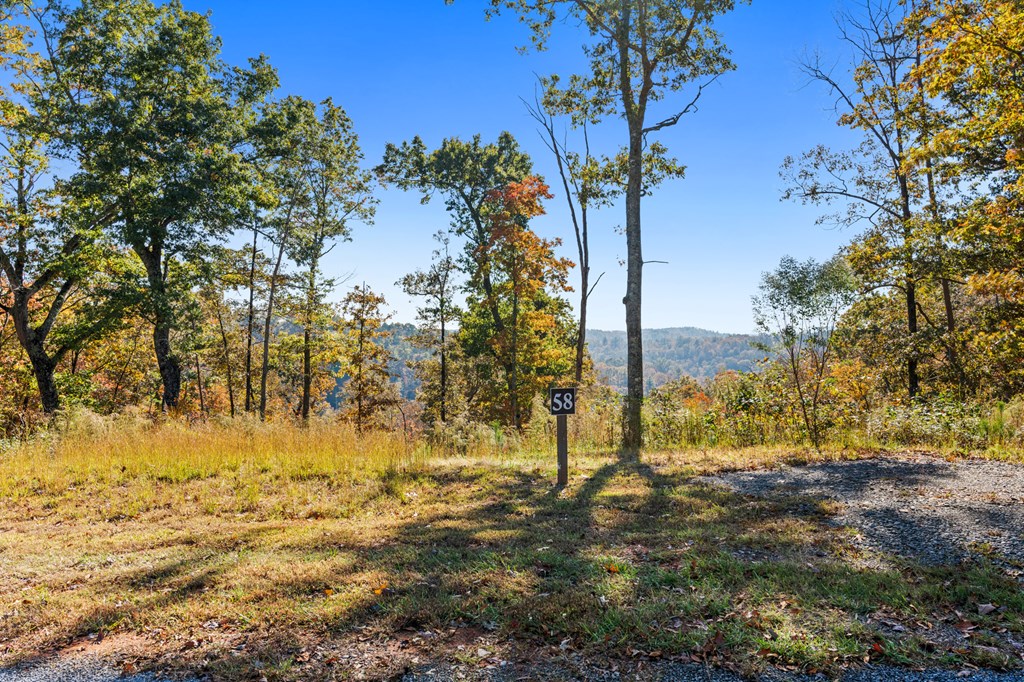 Lot 58 Ridge Line Trail Property Photo 22
