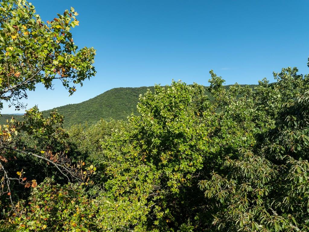 Lot 3 Wilderness Way Property Photo 1