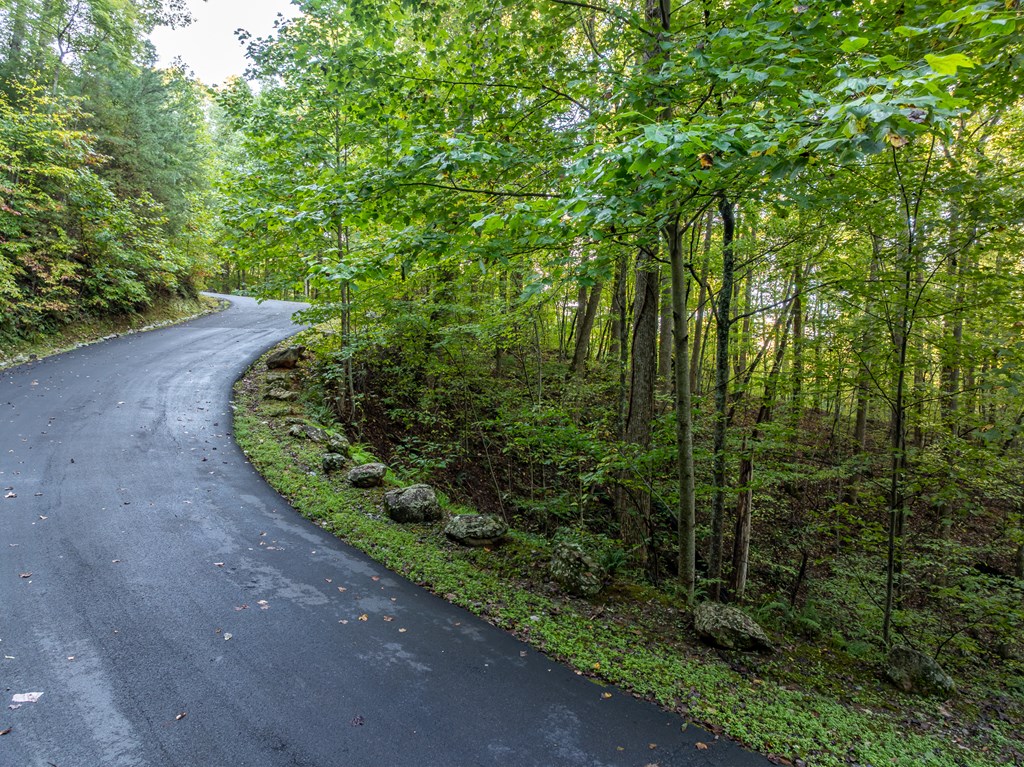 Lot 3 Wilderness Way Property Photo 6