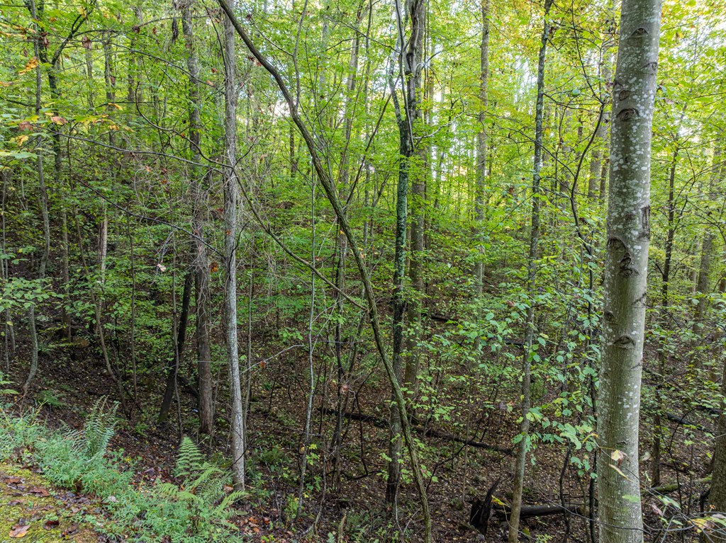 Lot 3 Wilderness Way Property Photo 7