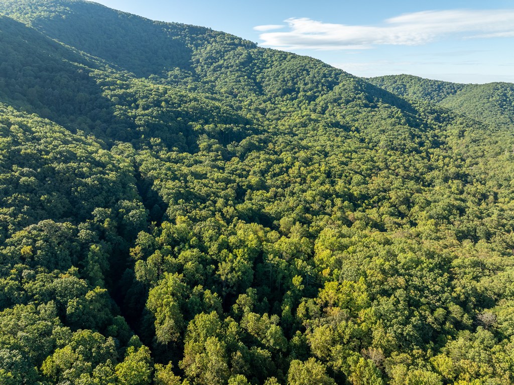Lot 3 Wilderness Way Property Photo 9