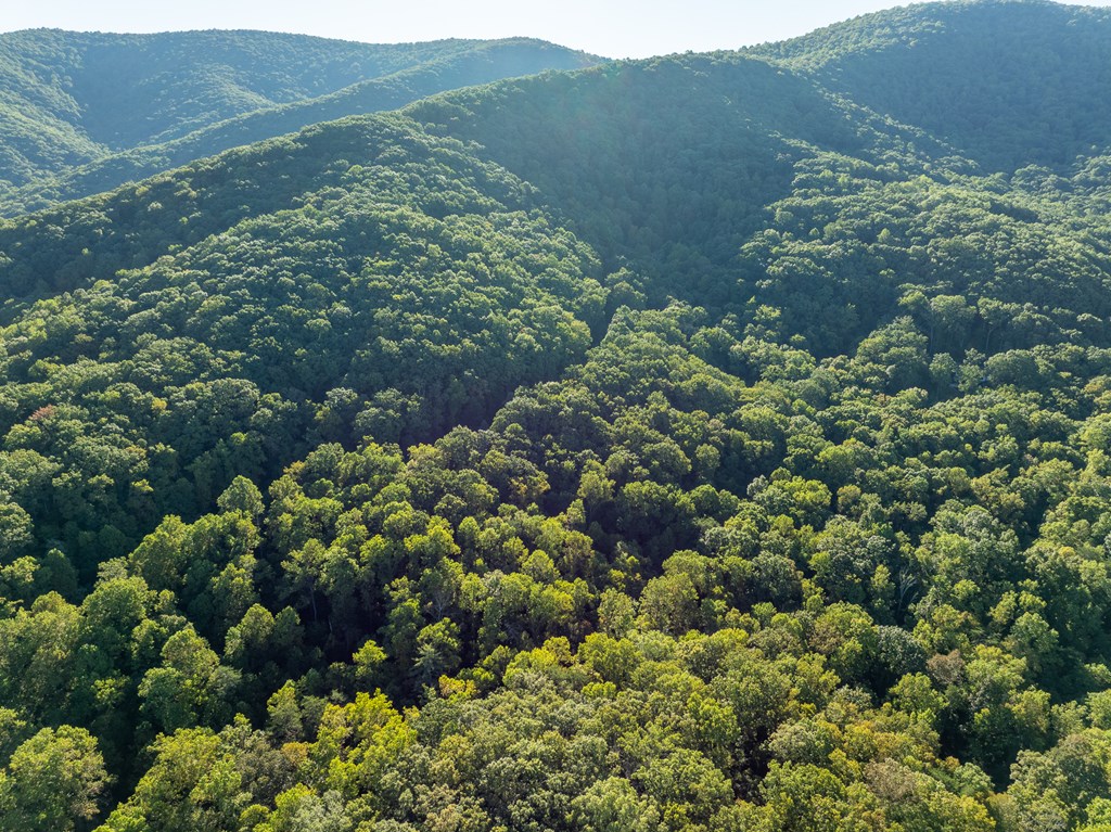 Lot 3 Wilderness Way Property Photo 10