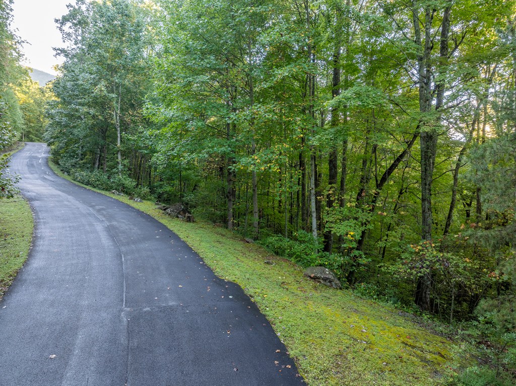 Lot 3 Wilderness Way Property Photo 11