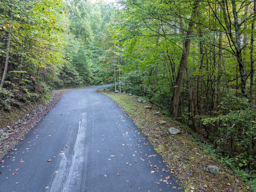 Lot 3 Wilderness Way Property Photo 12
