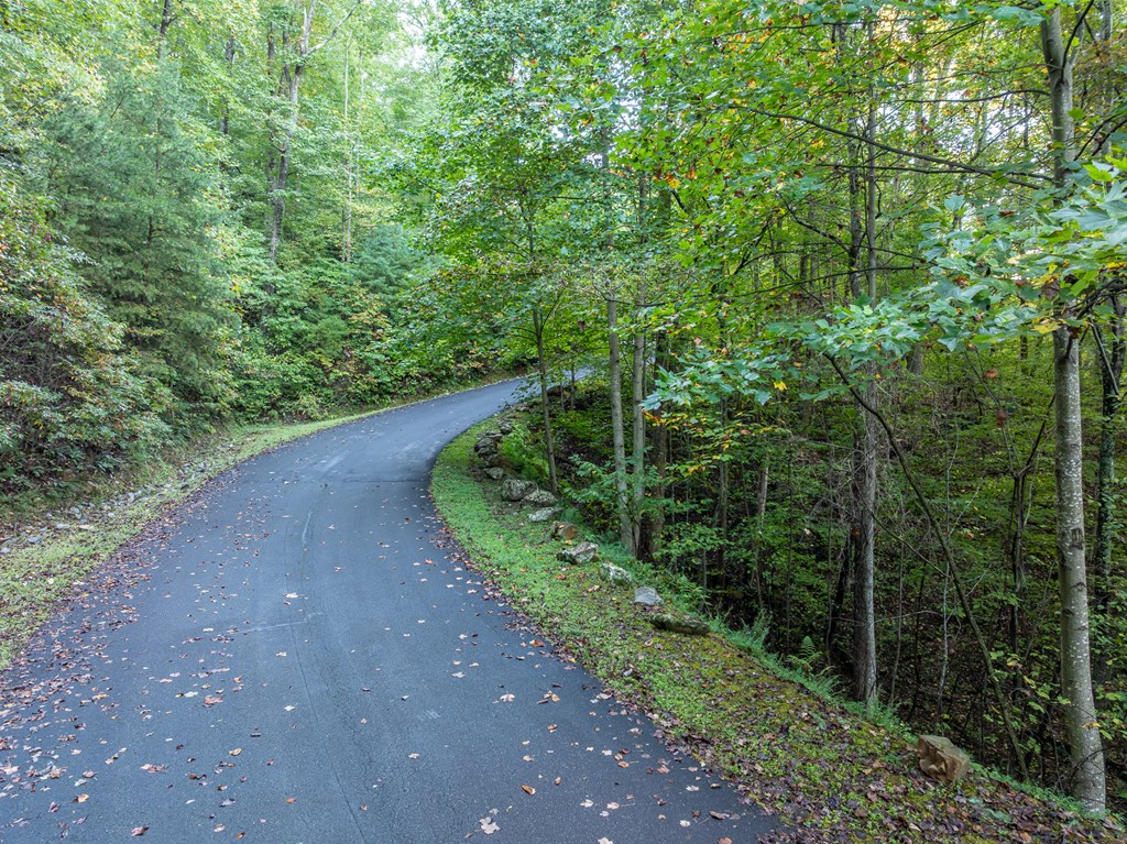 Lot 3 Wilderness Way Property Photo 13