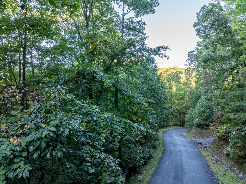 Lot 3 Wilderness Way Property Photo 14