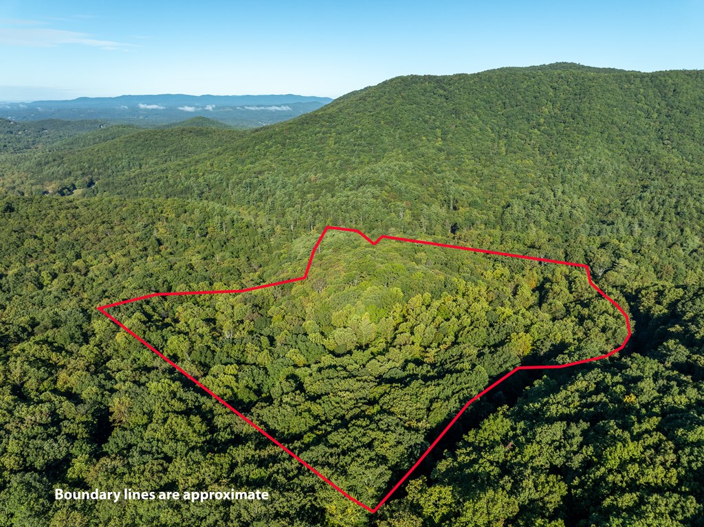 Lot 3 Wilderness Way Property Photo 15