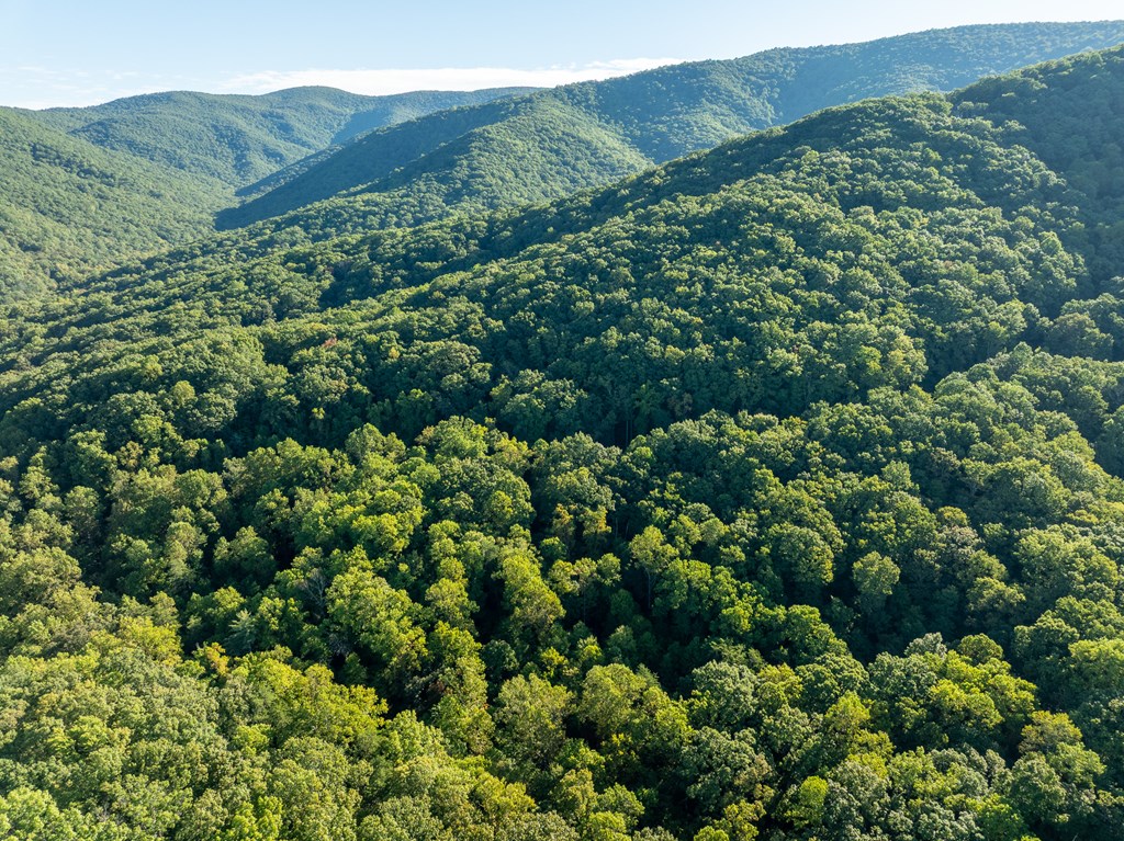 Lot 3 Wilderness Way Property Photo 16