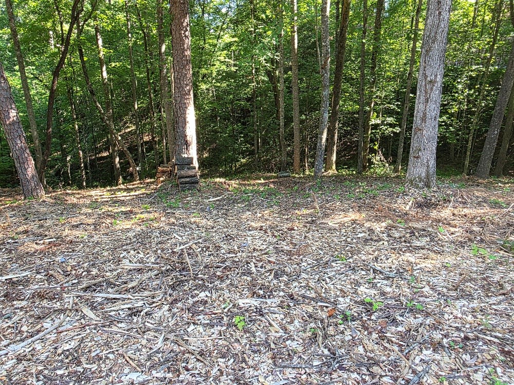 86 Cedar Road Property Photo 2