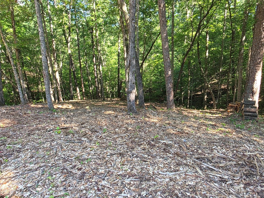 86 Cedar Road Property Photo 3