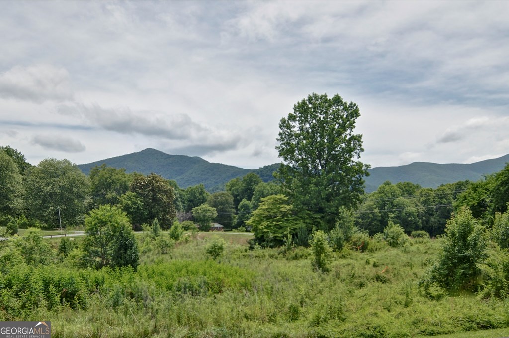 2165 Townsend Mill Road Property Photo 4