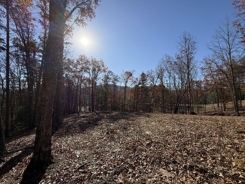 Lot 24 Crestview Point Property Photo 1