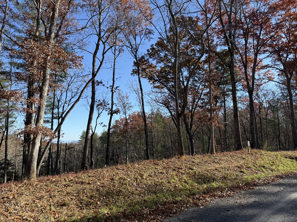 Lot 75 Morgan Road Property Photo 3