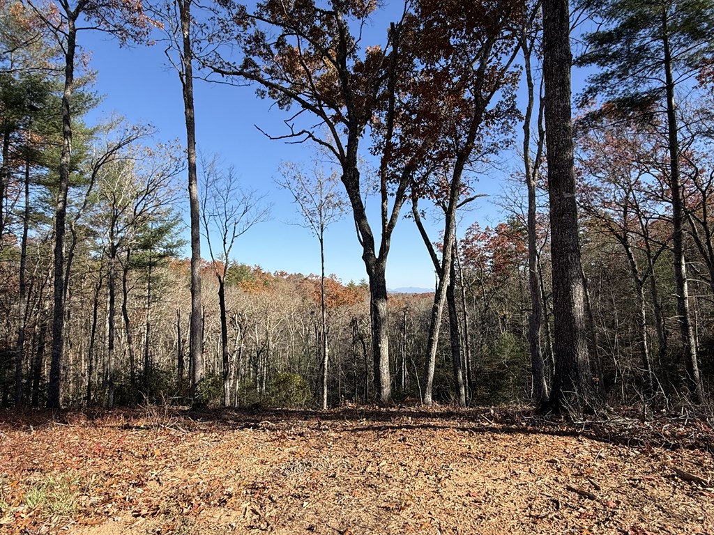 Lot 75 Morgan Road Property Photo 5