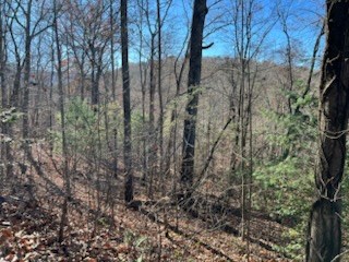 1918 Creekstone Lane Property Photo 4